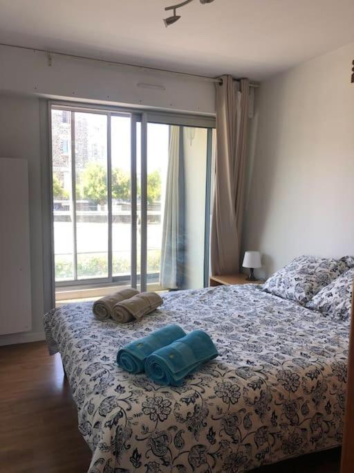 Apartment T2 Cosy St Brieuc